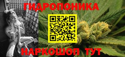 бошки Владимир