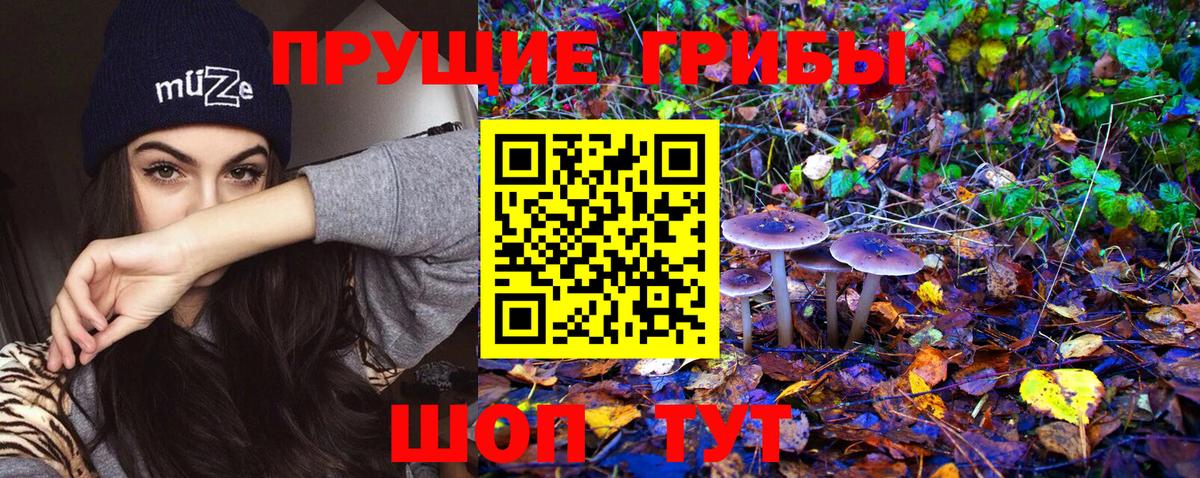 Бийск  Галлюциногенные грибы Cubensis  Вход с VPN 